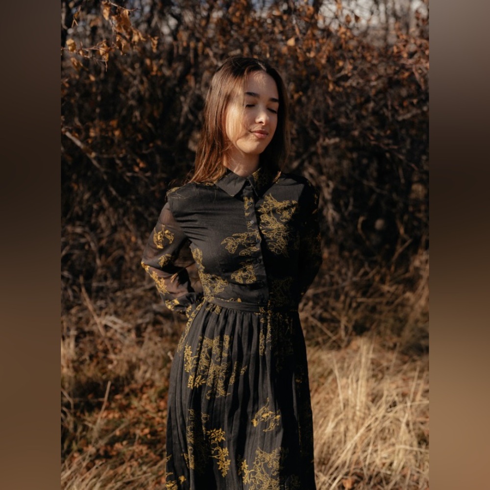 NEW Poet Dresses Haiku Dress XS Black Gold